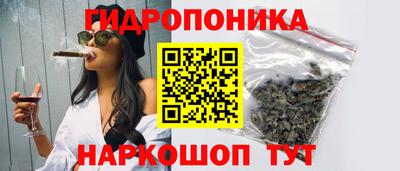 хмурый Жуковский