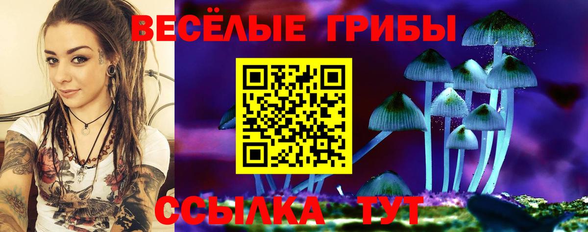 Псилоцибиновые грибы MAGIC MUSHROOMS Лысьва